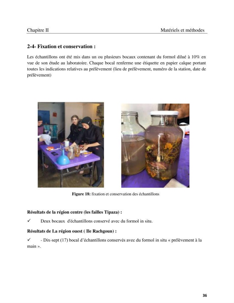 Contribution à la connaissance de la faune et de la flore associée à l\'écosystème coralligène de la côte Algérienne
