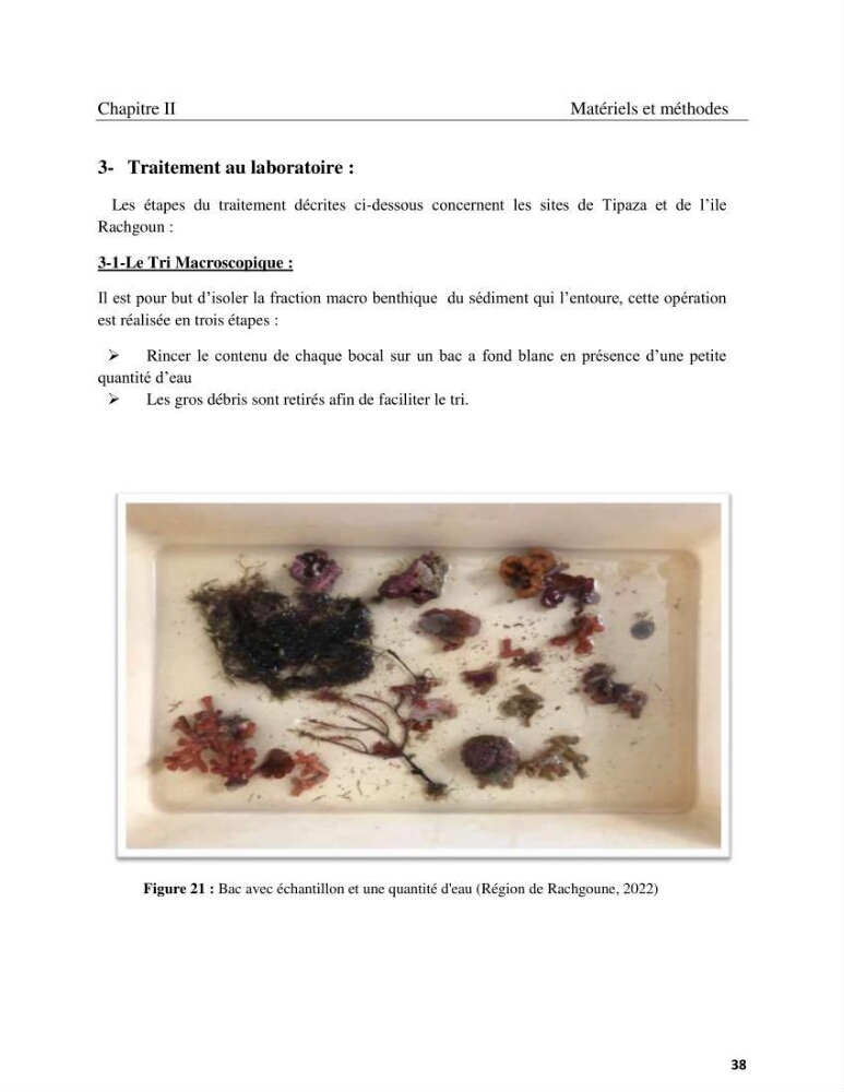 Contribution à la connaissance de la faune et de la flore associée à l\'écosystème coralligène de la côte Algérienne