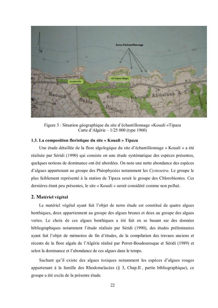 Composition chimique et minérale de quatre algues benthiques de la région de Kouali (Tipaza)