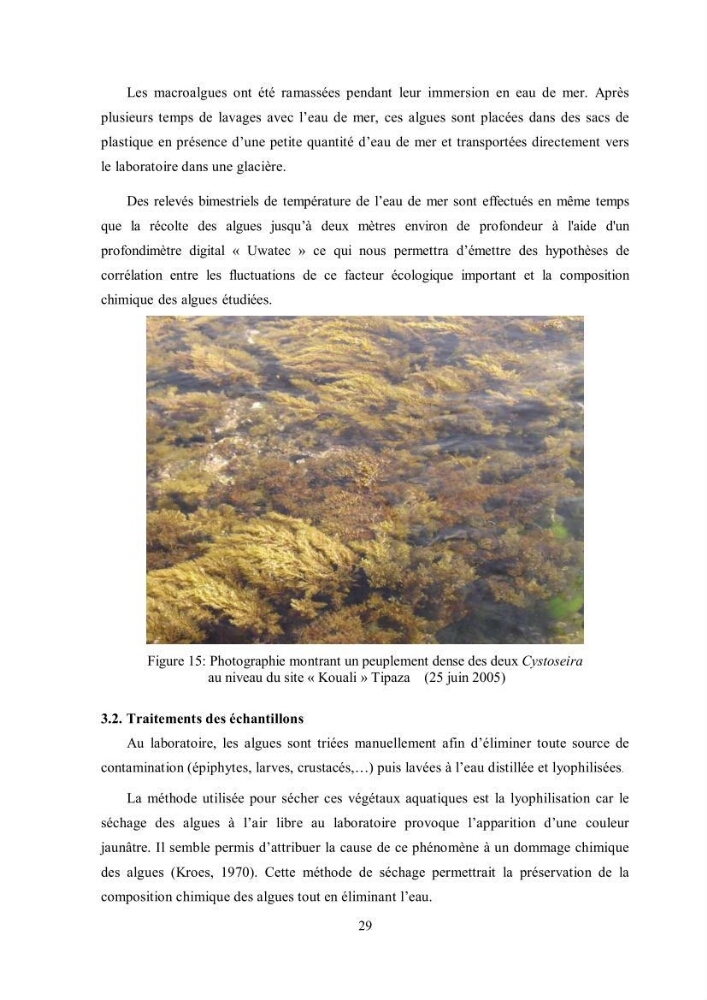 Composition chimique et minérale de quatre algues benthiques de la région de Kouali (Tipaza)