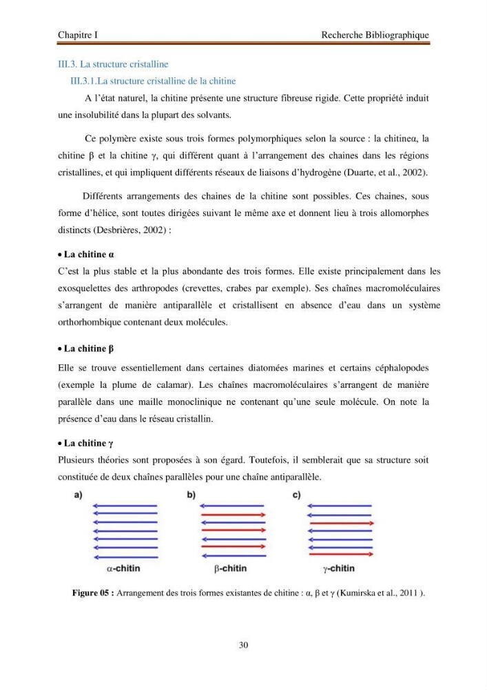 Extraction de biopolymères chitineux d\'intérêt pharmacologique à partir de sous-produits de la pêche