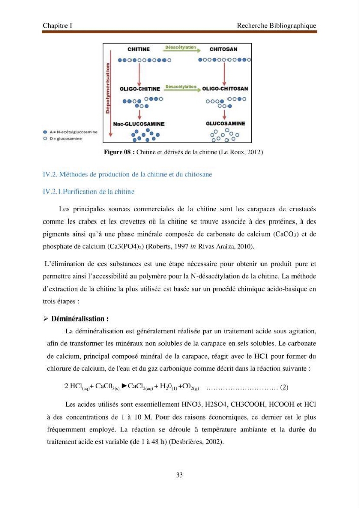 Extraction de biopolymères chitineux d\'intérêt pharmacologique à partir de sous-produits de la pêche