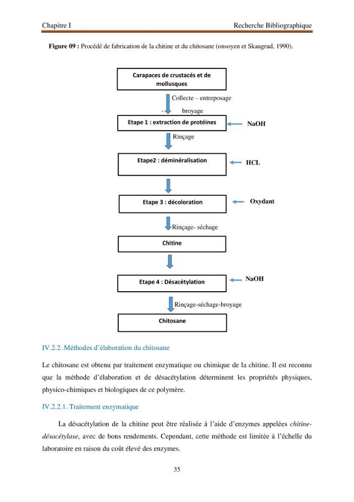 Extraction de biopolymères chitineux d\'intérêt pharmacologique à partir de sous-produits de la pêche
