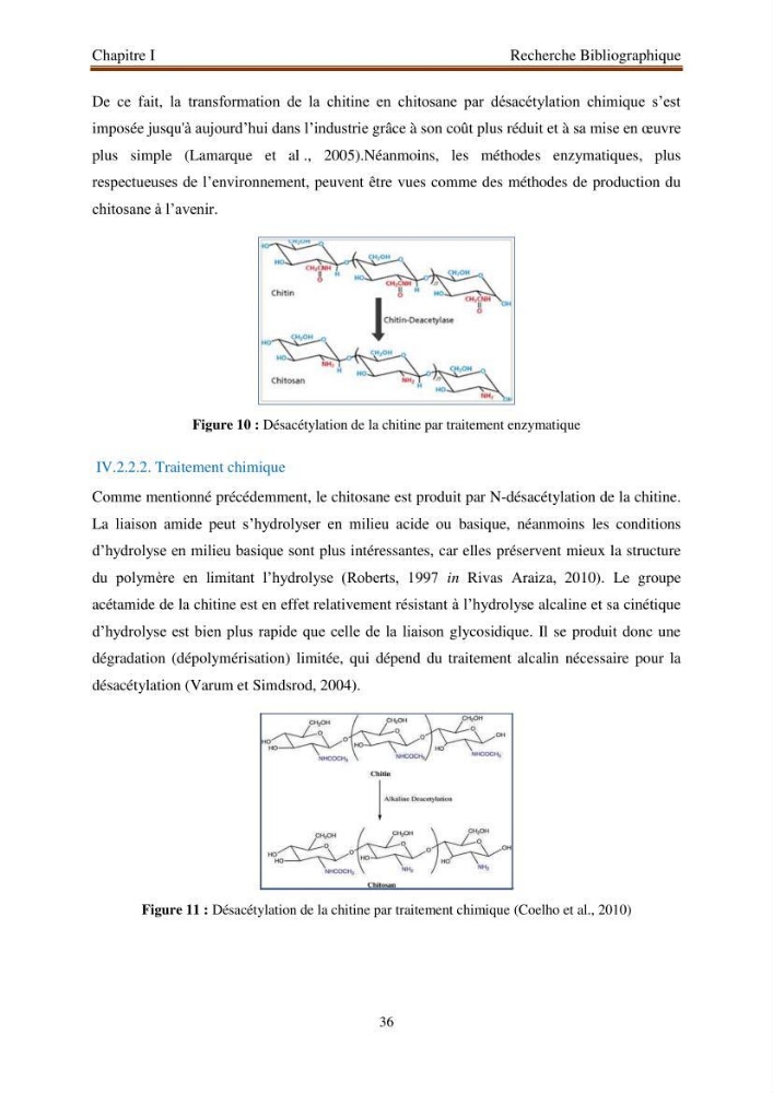 Extraction de biopolymères chitineux d\'intérêt pharmacologique à partir de sous-produits de la pêche