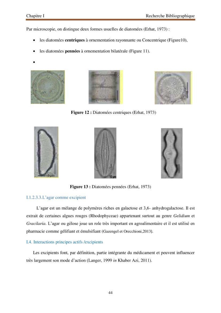 Extraction de biopolymères chitineux d\'intérêt pharmacologique à partir de sous-produits de la pêche