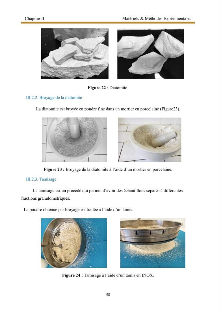 Extraction de biopolymères chitineux d\'intérêt pharmacologique à partir de sous-produits de la pêche