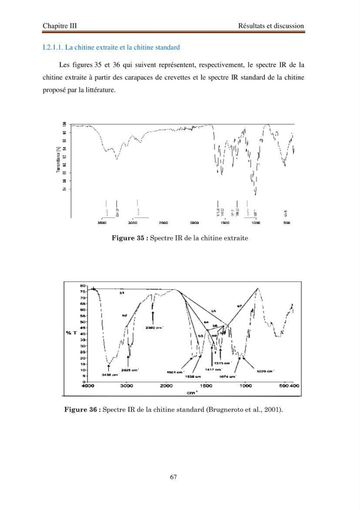 Extraction de biopolymères chitineux d\'intérêt pharmacologique à partir de sous-produits de la pêche