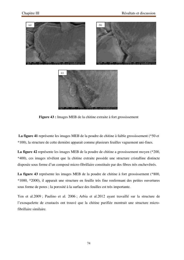 Extraction de biopolymères chitineux d\'intérêt pharmacologique à partir de sous-produits de la pêche