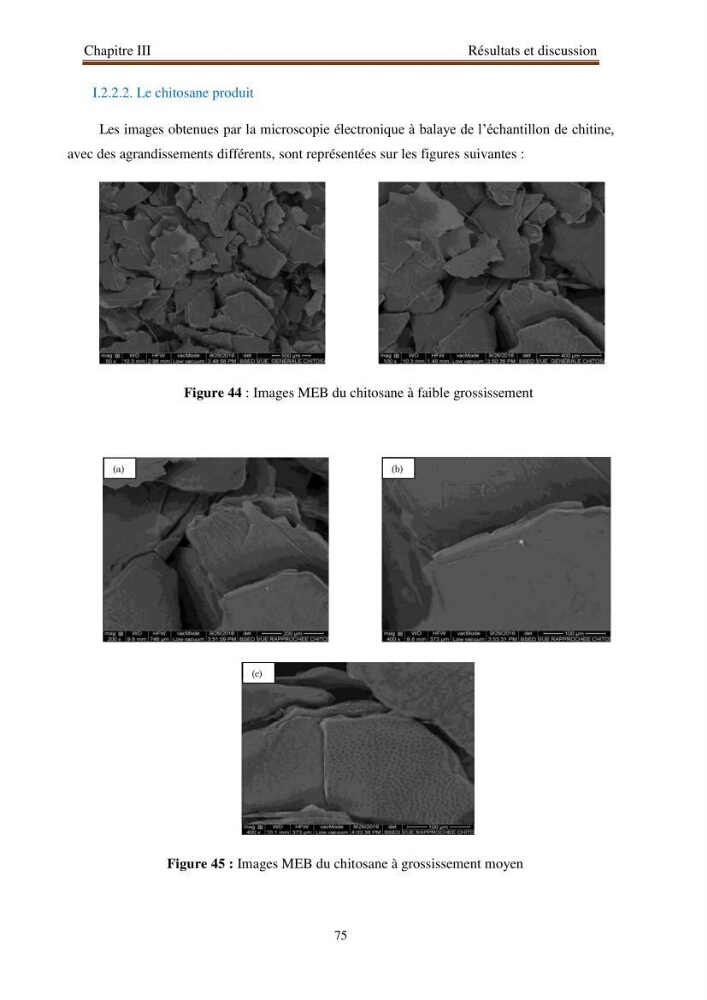 Extraction de biopolymères chitineux d\'intérêt pharmacologique à partir de sous-produits de la pêche