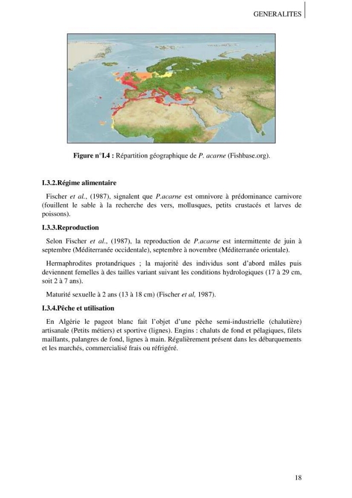 Contribution à l\'étude des captures de la familles des Sparidés dans le port de Bou Haroun: Approche biologique et dynamique du Pagellus acarne (R.,1826)