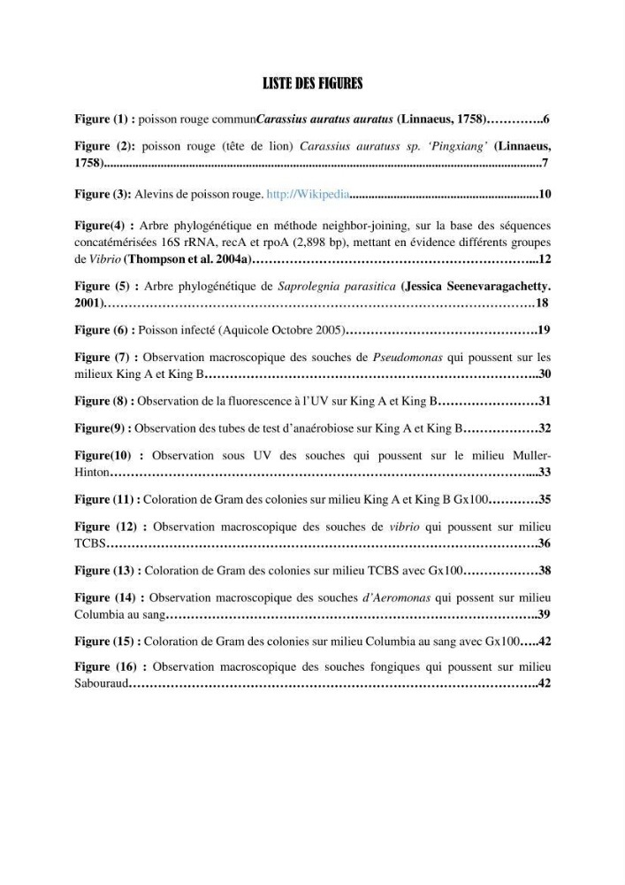 Recherche de germes responsables d\'infection microbiennes chez les poissons d\'ornement: