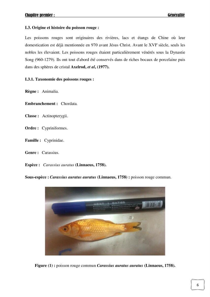 Recherche de germes responsables d\'infection microbiennes chez les poissons d\'ornement: