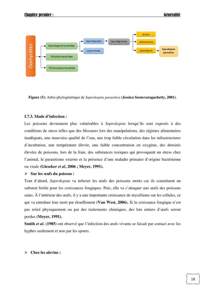 Recherche de germes responsables d\'infection microbiennes chez les poissons d\'ornement: