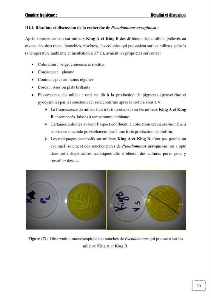 Recherche de germes responsables d\'infection microbiennes chez les poissons d\'ornement: