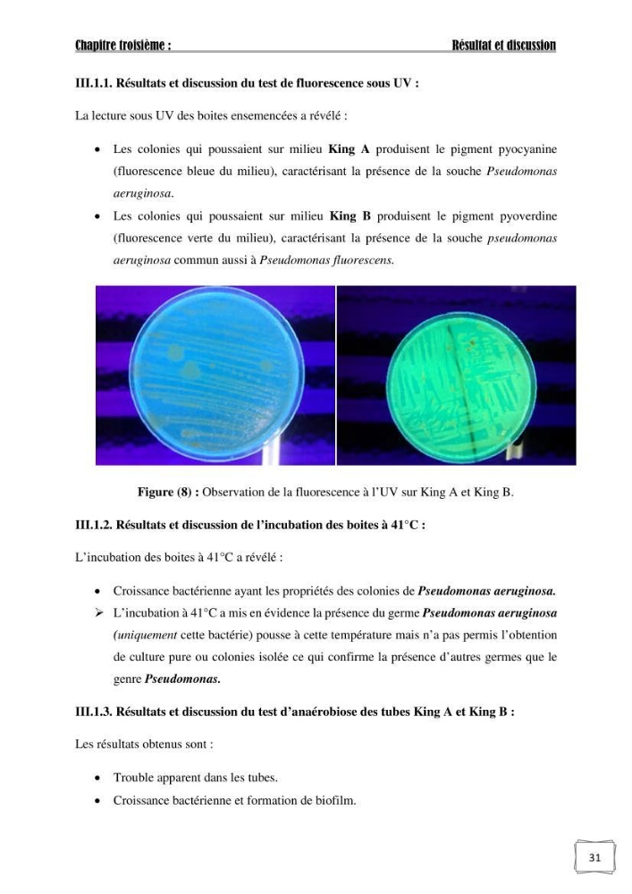 Recherche de germes responsables d\'infection microbiennes chez les poissons d\'ornement:
