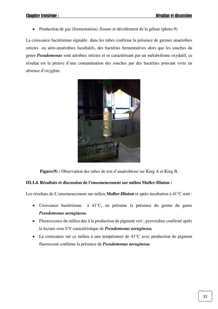 Recherche de germes responsables d\'infection microbiennes chez les poissons d\'ornement: