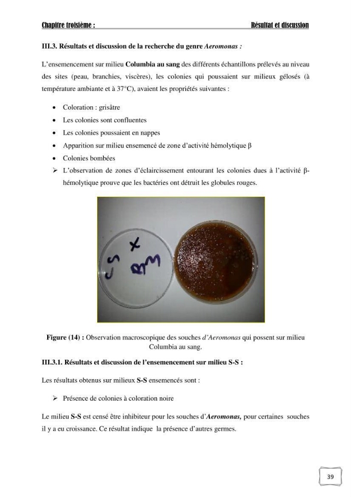 Recherche de germes responsables d\'infection microbiennes chez les poissons d\'ornement: