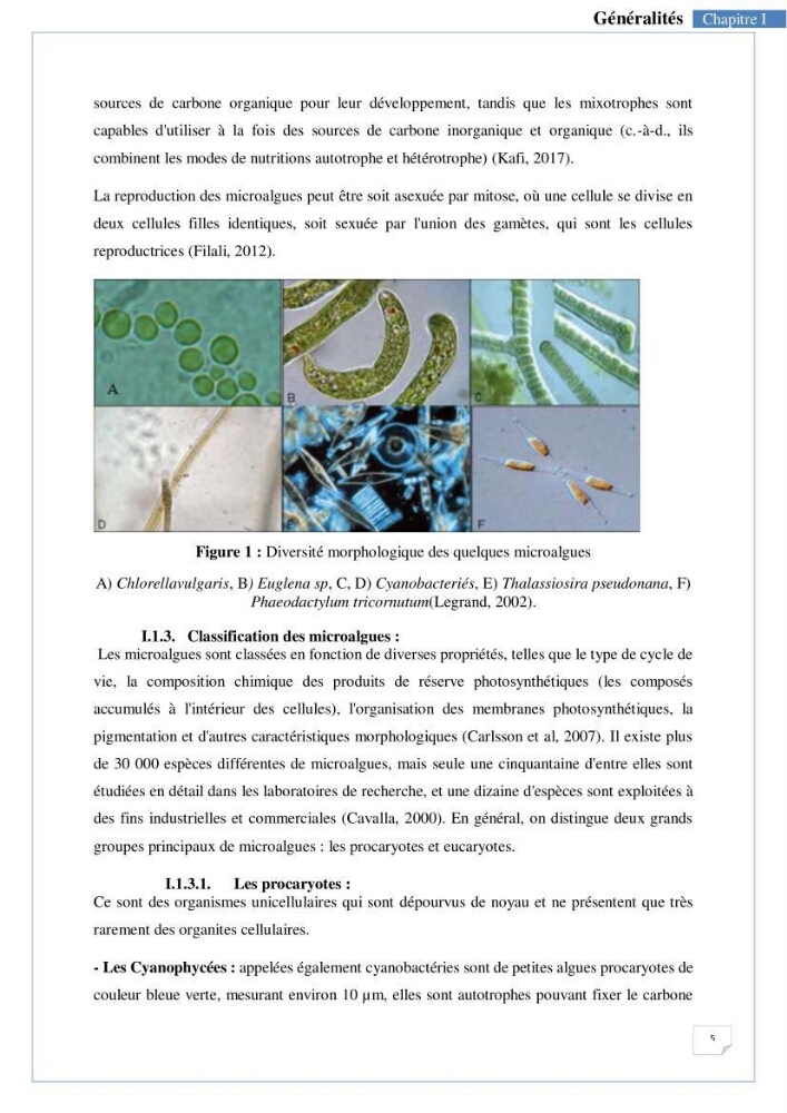 Isolement, purification et criblage des microalgues pour le traitement des eaux usées aquacoles