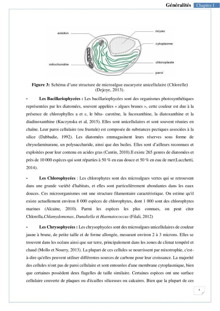 Isolement, purification et criblage des microalgues pour le traitement des eaux usées aquacoles