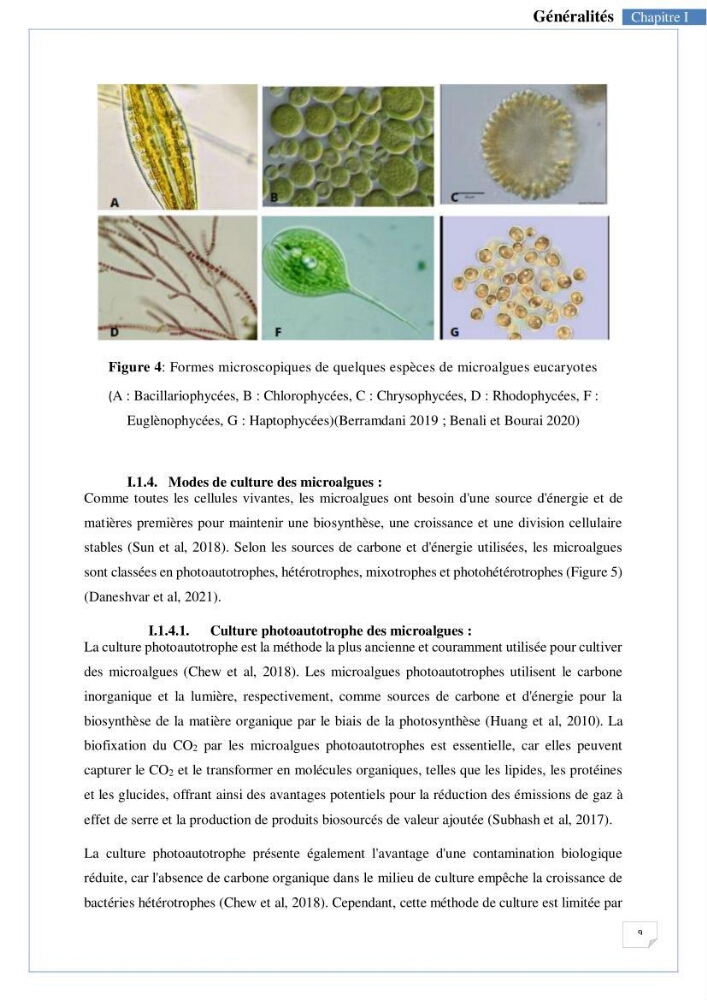 Isolement, purification et criblage des microalgues pour le traitement des eaux usées aquacoles