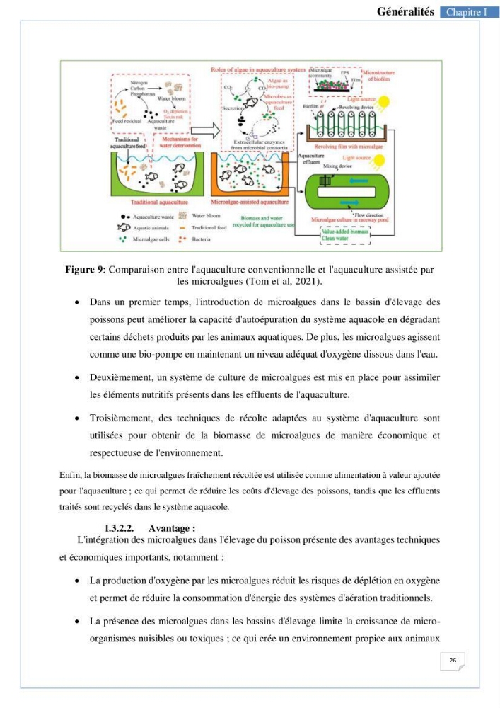 Isolement, purification et criblage des microalgues pour le traitement des eaux usées aquacoles