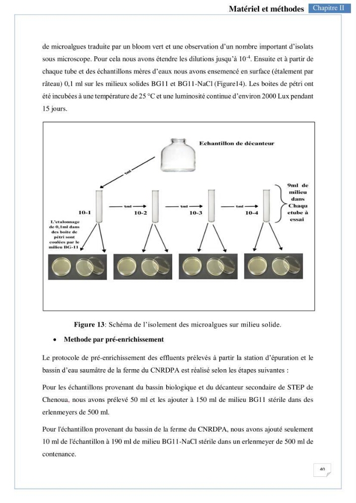 Isolement, purification et criblage des microalgues pour le traitement des eaux usées aquacoles