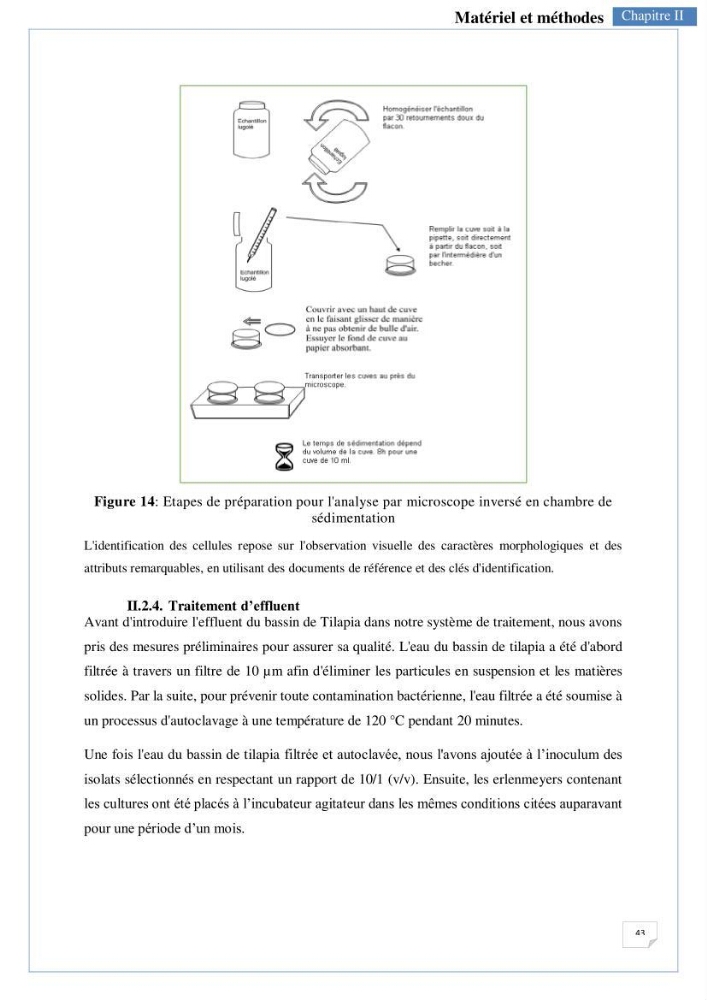 Isolement, purification et criblage des microalgues pour le traitement des eaux usées aquacoles