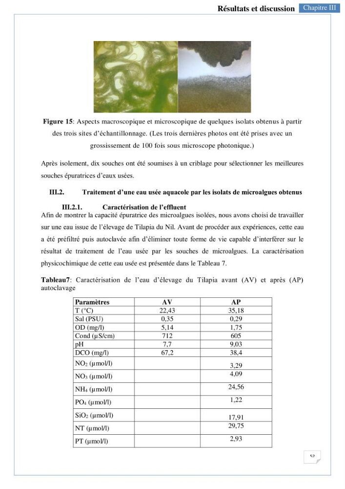 Isolement, purification et criblage des microalgues pour le traitement des eaux usées aquacoles