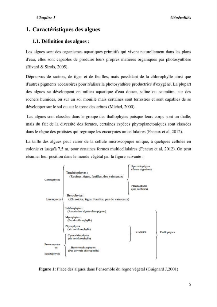 Contribution à l\'étude du peuplement algal de substart dur dans la région de Tipaza