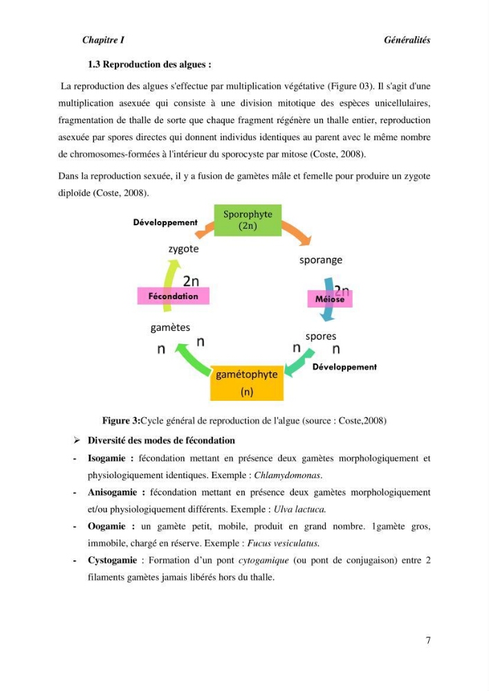 Contribution à l\'étude du peuplement algal de substart dur dans la région de Tipaza