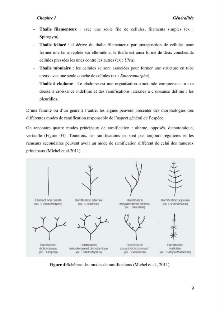 Contribution à l\'étude du peuplement algal de substart dur dans la région de Tipaza