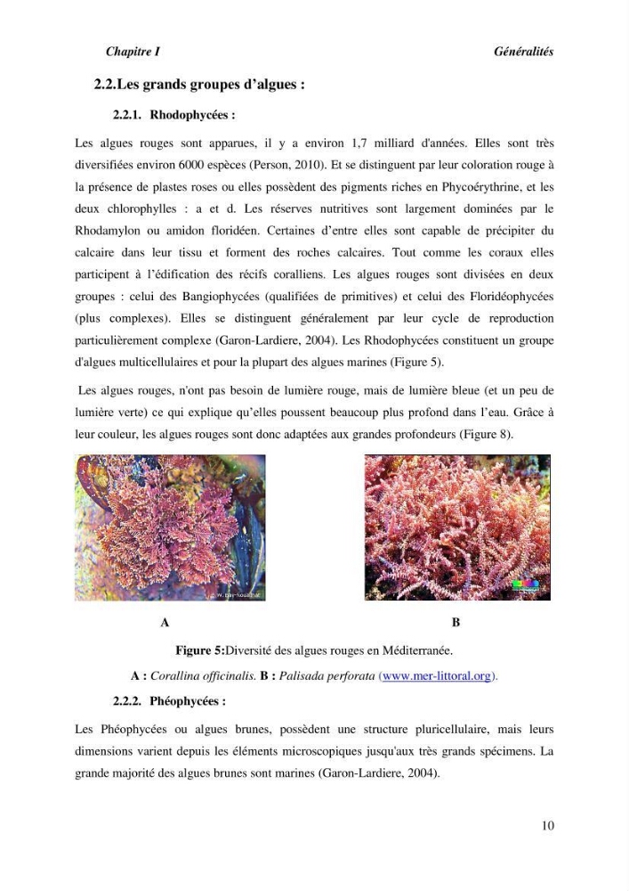 Contribution à l\'étude du peuplement algal de substart dur dans la région de Tipaza