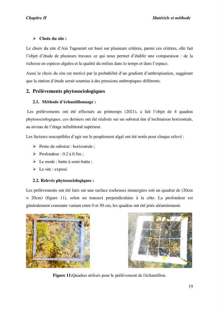 Contribution à l\'étude du peuplement algal de substart dur dans la région de Tipaza