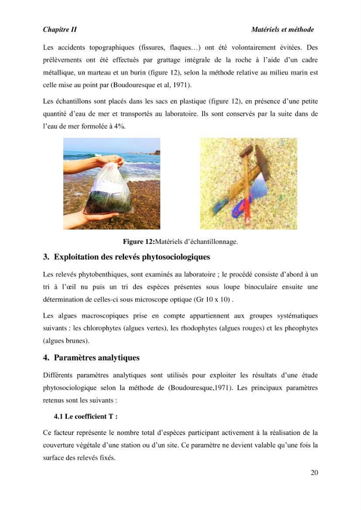 Contribution à l\'étude du peuplement algal de substart dur dans la région de Tipaza