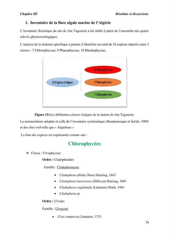 Contribution à l\'étude du peuplement algal de substart dur dans la région de Tipaza