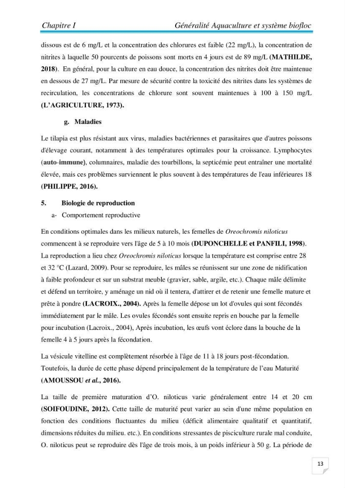 Contribution à la conception d’une ferme d\'élevage De tilapia du Nil (Oreochromis niloticus) en système bio-floc.: