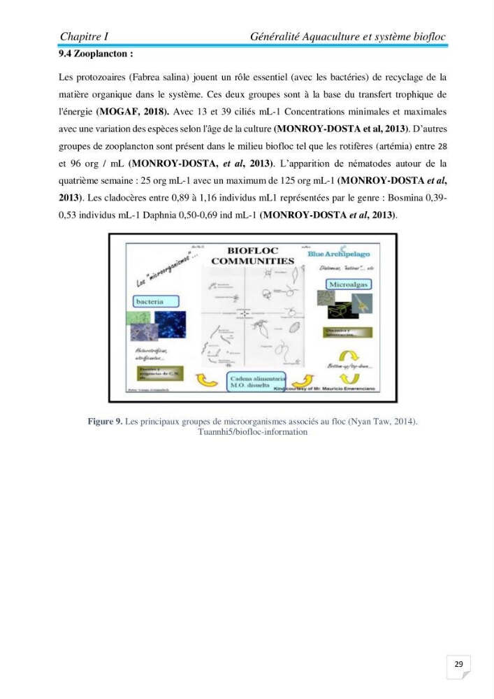 Contribution à la conception d’une ferme d\'élevage De tilapia du Nil (Oreochromis niloticus) en système bio-floc.:
