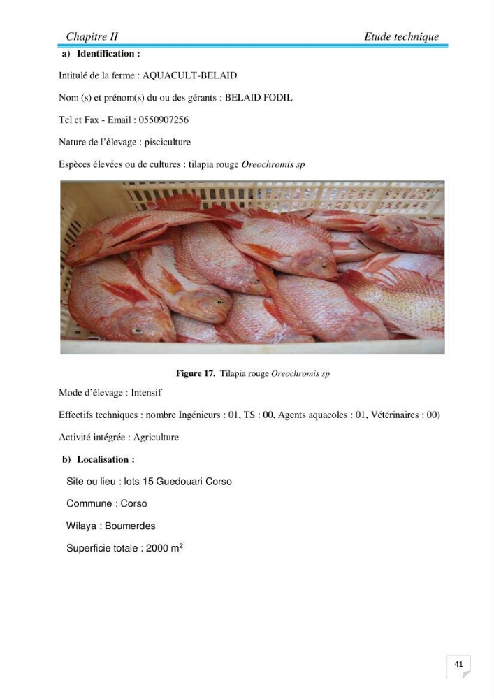 Contribution à la conception d’une ferme d\'élevage De tilapia du Nil (Oreochromis niloticus) en système bio-floc.: