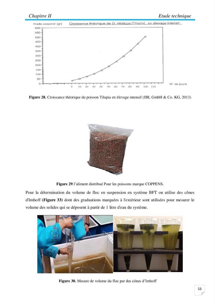 Contribution à la conception d’une ferme d\'élevage De tilapia du Nil (Oreochromis niloticus) en système bio-floc.: