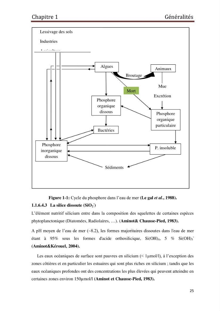 Les paramètres physico-chimiques et les sels nutritifs dans les eaux côtières Algéroises ( Baie d\'Alger, la baie de Bou-Ismail:
