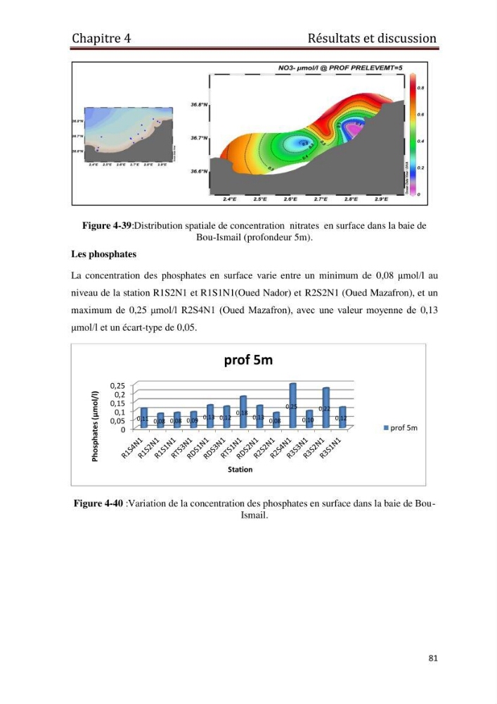 Les paramètres physico-chimiques et les sels nutritifs dans les eaux côtières Algéroises ( Baie d\'Alger, la baie de Bou-Ismail: