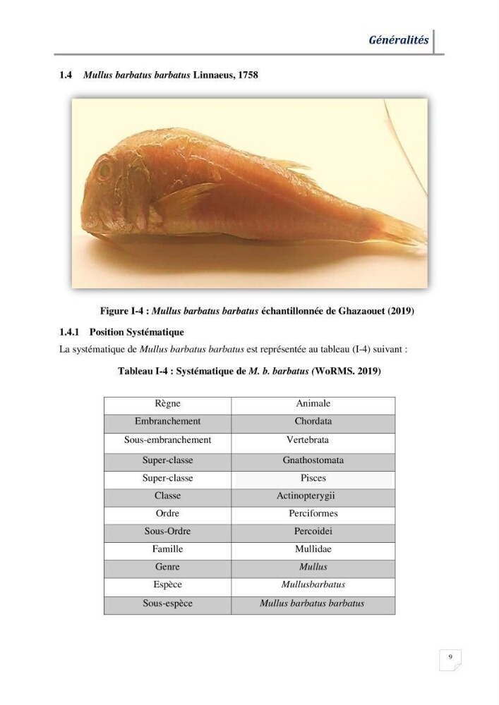 Contribution à l’évaluation des risques environnementaux radioactifs et métalliques sur la biodiversité de quelques organismes marins