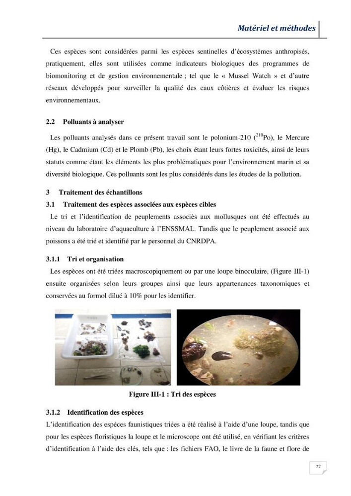 Contribution à l’évaluation des risques environnementaux radioactifs et métalliques sur la biodiversité de quelques organismes marins