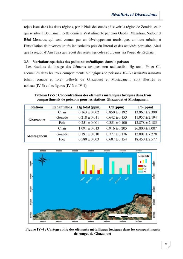 Contribution à l’évaluation des risques environnementaux radioactifs et métalliques sur la biodiversité de quelques organismes marins