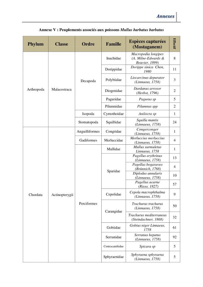 Contribution à l’évaluation des risques environnementaux radioactifs et métalliques sur la biodiversité de quelques organismes marins