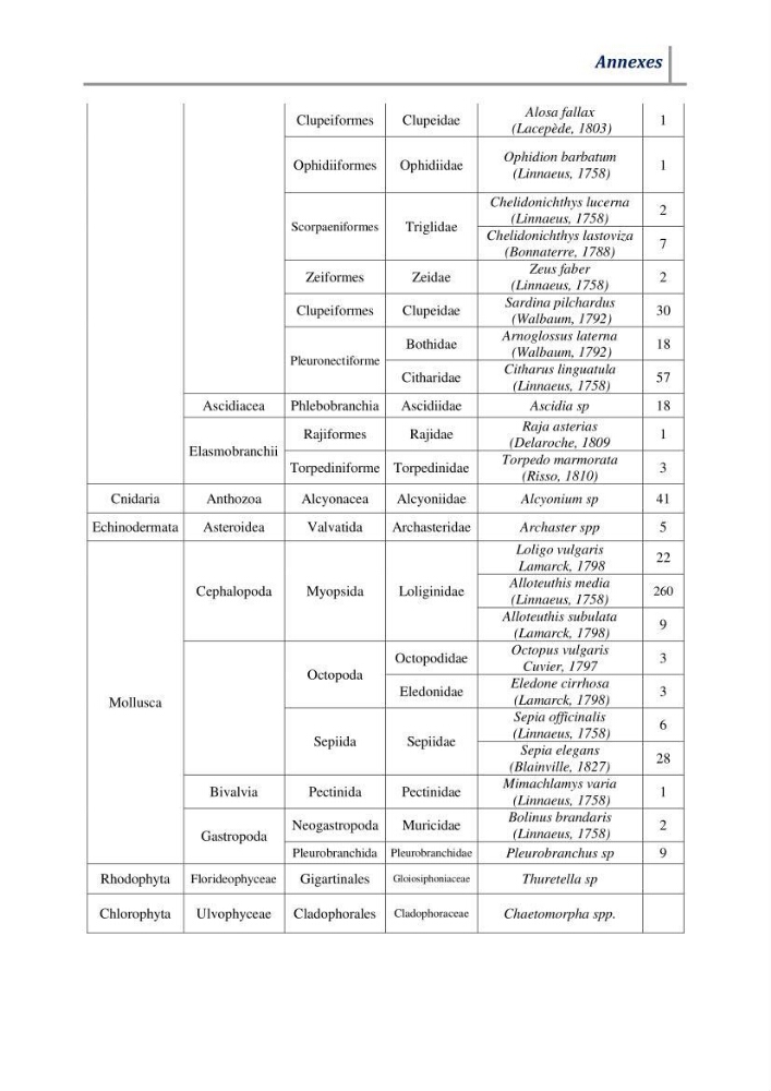 Contribution à l’évaluation des risques environnementaux radioactifs et métalliques sur la biodiversité de quelques organismes marins