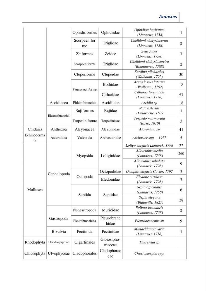 Contribution à l’évaluation des risques environnementaux radioactifs et métalliques sur la biodiversité de quelques organismes marins