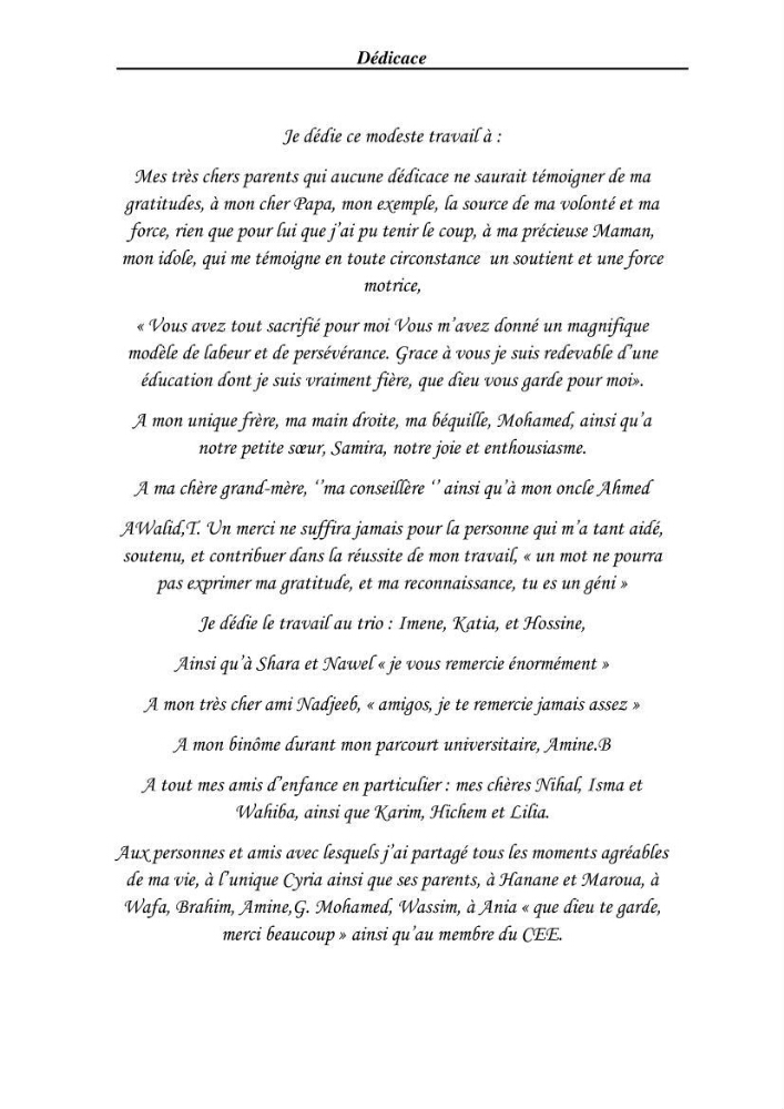 Etude et évaluation de l\'état de la vulnérabilité du système côtier de la zone Est-Algéroise: