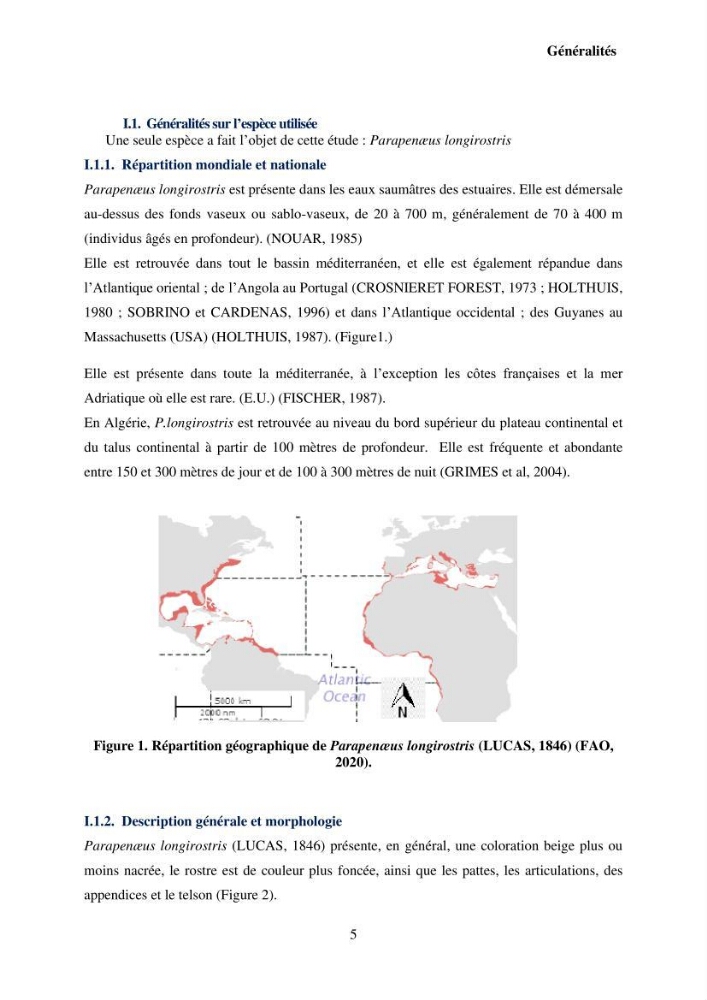 Valorisation Biotechnologique des Coproduits de Crustacés : étude du pouvoir antimicrobien du chitosane et traitement d\'une eau contamineé par Legionella Penumophila