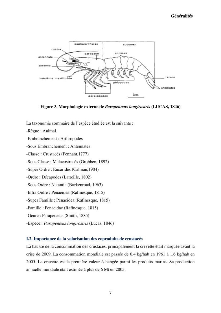 Valorisation Biotechnologique des Coproduits de Crustacés : étude du pouvoir antimicrobien du chitosane et traitement d\'une eau contamineé par Legionella Penumophila